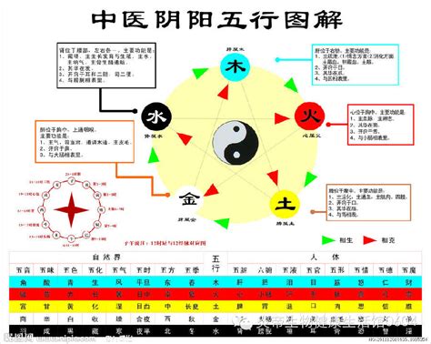 火生金|五行相生相剋:五行,四季五行,相生相剋,概念對應,五行。